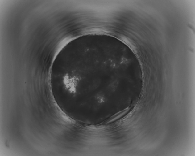 X0000091241392200708301529