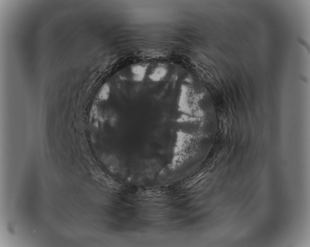 X0000091241393200708301528