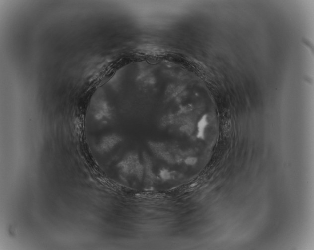 X0000091241397200708301528