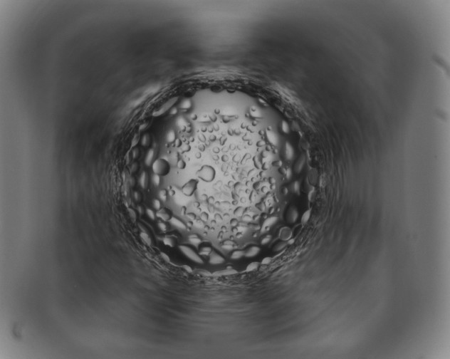 X0000091241398200708301528