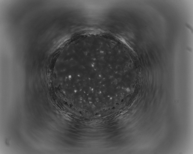 X0000091241399200708301528