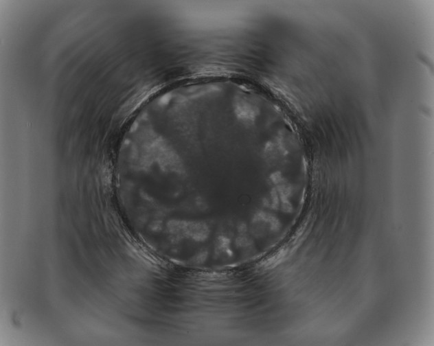 X0000091241401200708301528