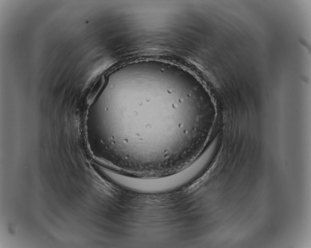 X0000091241402200708301528