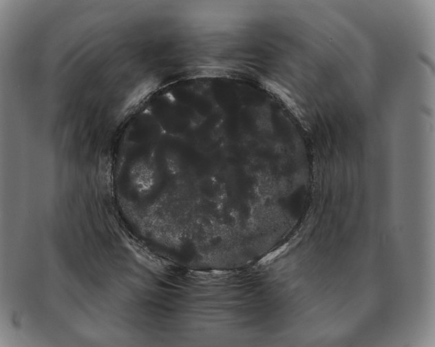 X0000091241403200708301528