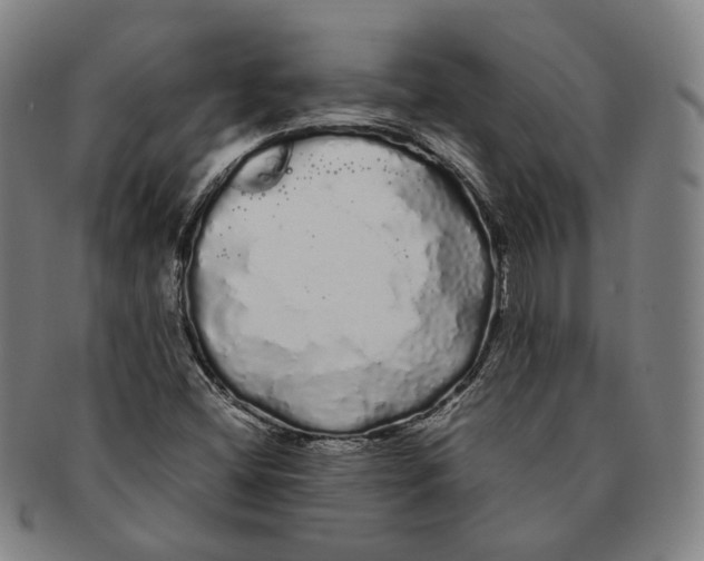 X0000091241404200708301528