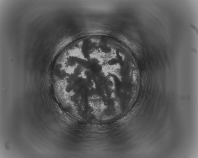 X0000091241405200708301528