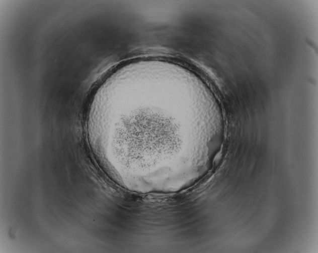 X0000091241407200708301528