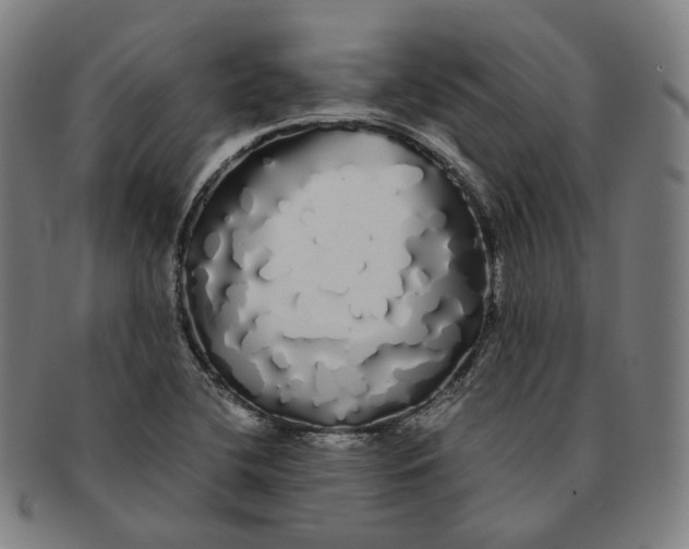 X0000091241412200708301528