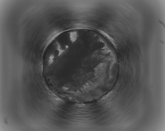 X0000091241415200708301528