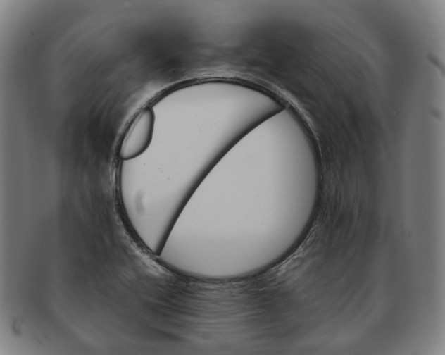 X0000091241416200708301528