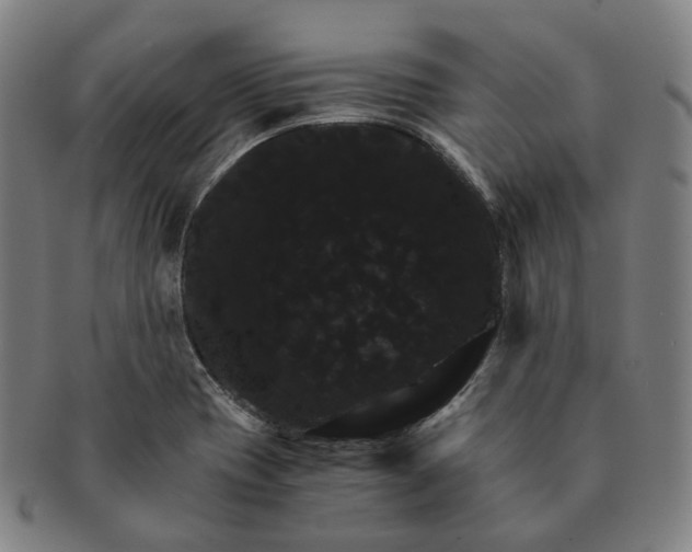 X0000091241417200708301528