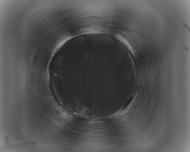 X0000091241419200708301528