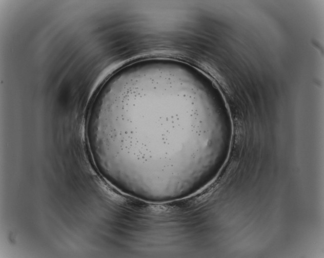 X0000091241420200708301528