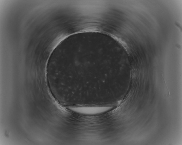 X0000091241423200708301528