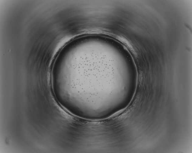 X0000091241424200708301528