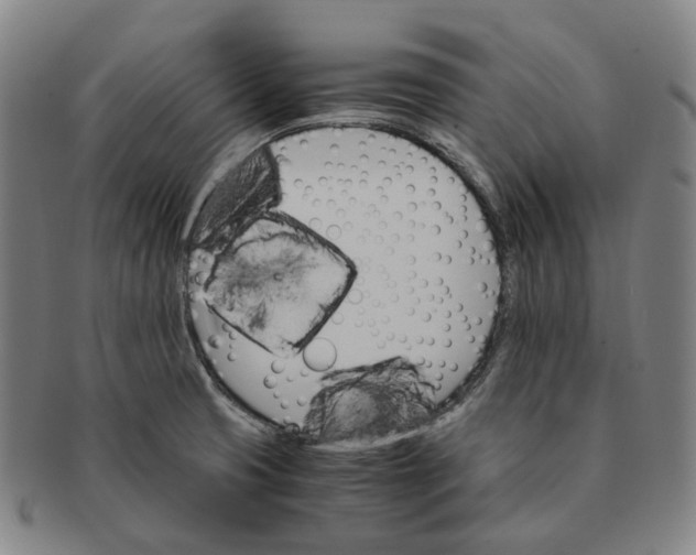 X0000091241425200708301528