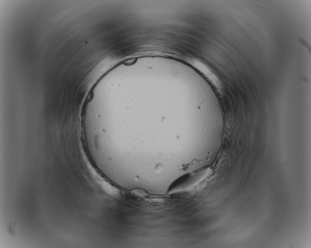 X0000091241431200708301528