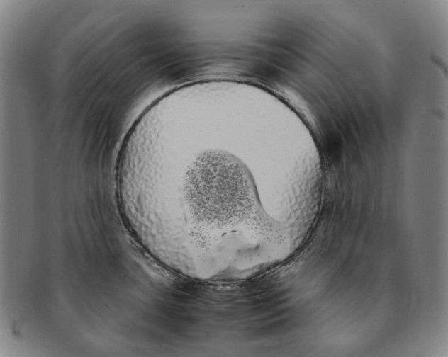 X0000091241435200708301529