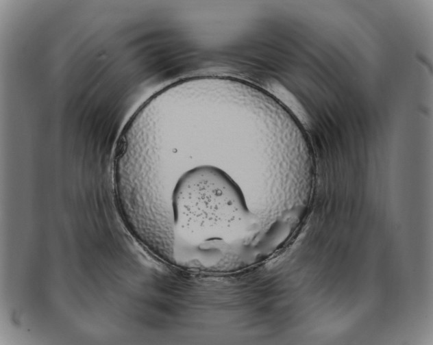 X0000091241436200708301529