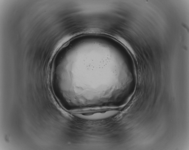 X0000091241437200708301529