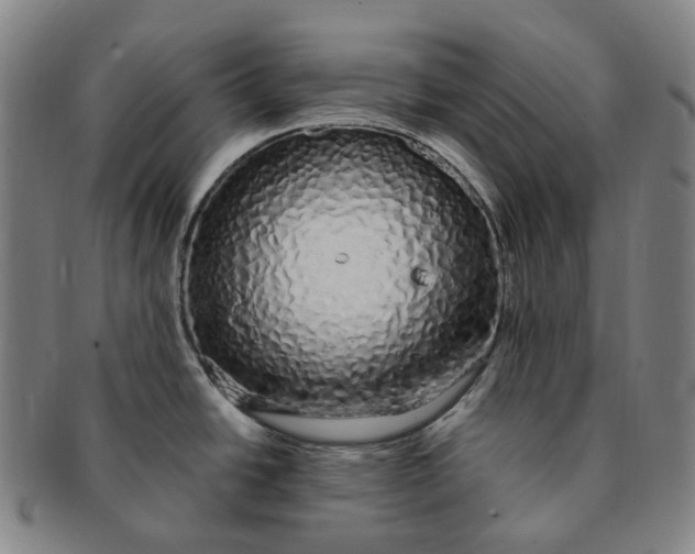 X0000091241438200708301529