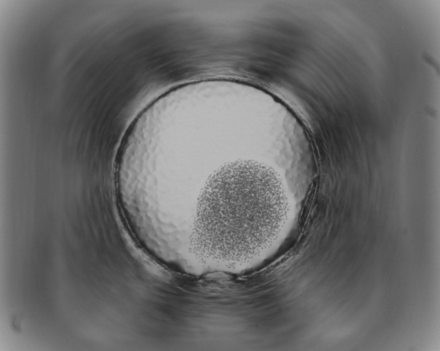 X0000091241439200708301529