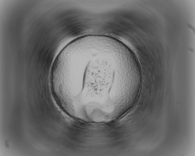 X0000091241440200708301529