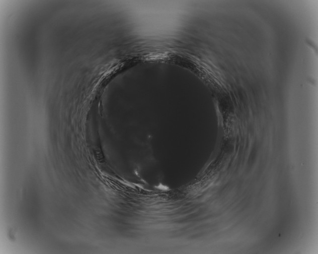 X0000091241441200708301528