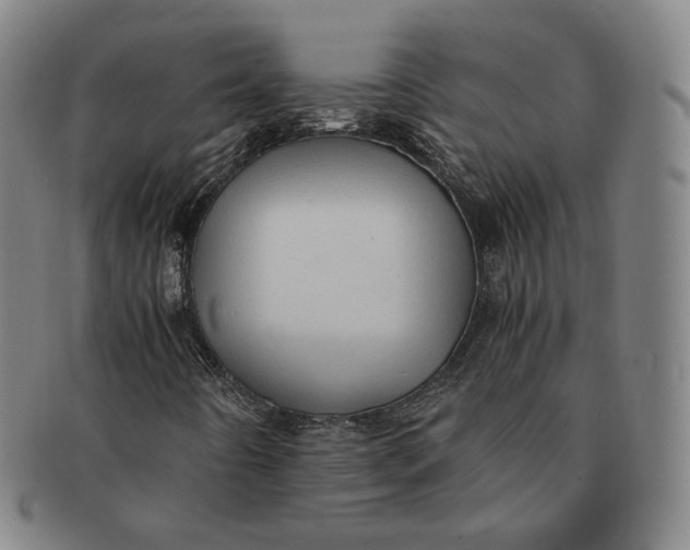 X0000091241442200708301528