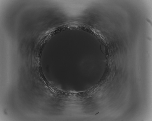 X0000091241445200708301528