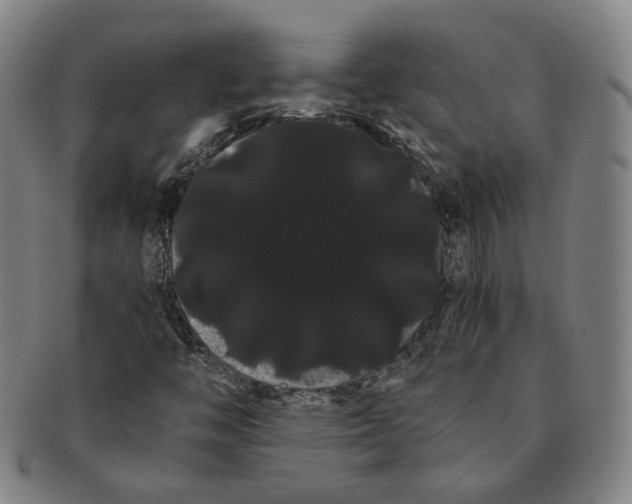X0000091241446200708301528