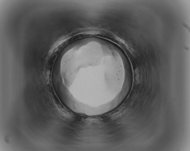 X0000091241448200708301528
