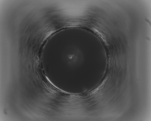 X0000091241449200708301528