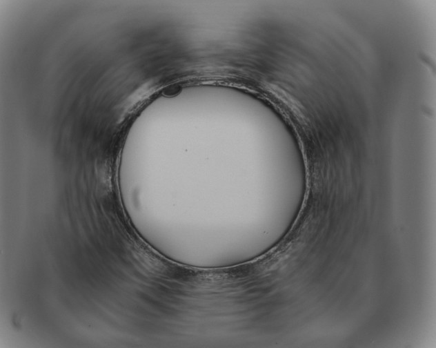 X0000091241451200708301528