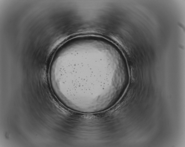 X0000091241452200708301528