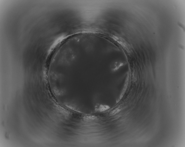 X0000091241454200708301528