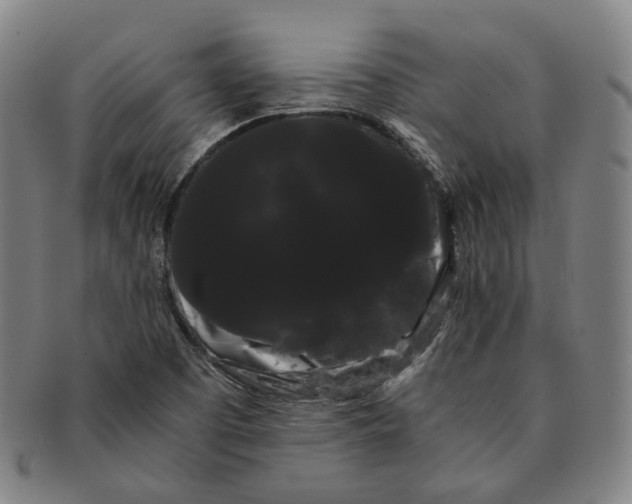 X0000091241457200708301528