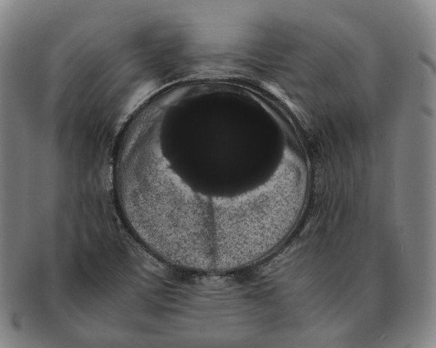X0000091241459200708301527