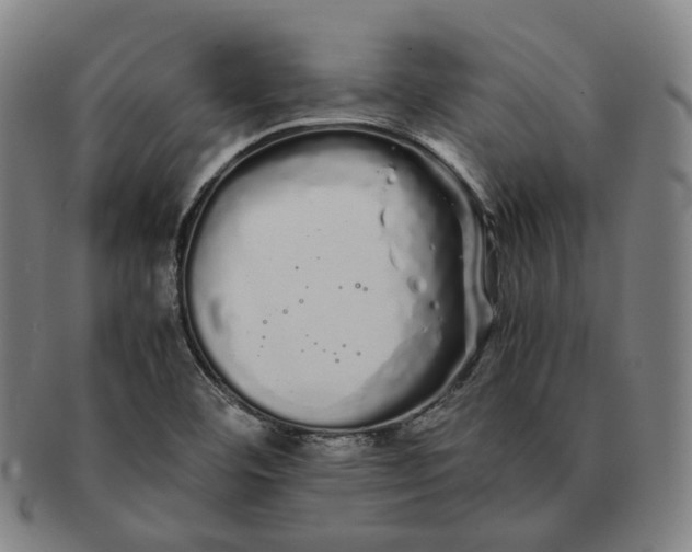 X0000091241460200708301527