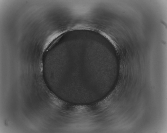 X0000091241461200708301527
