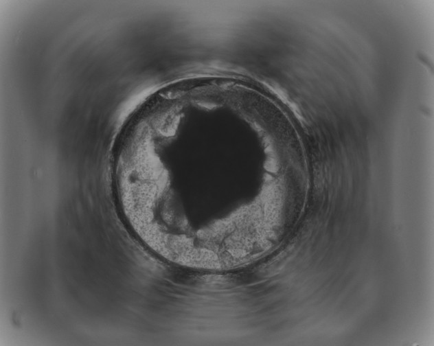 X0000091241463200708301527