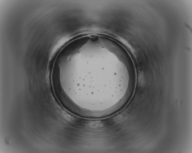 X0000091241464200708301527