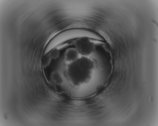 X0000091241465200708301527