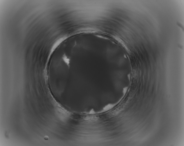 X0000091241466200708301527