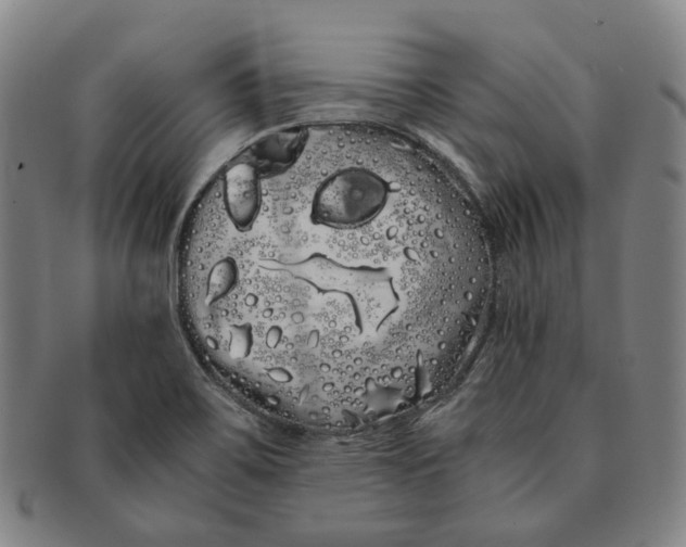 X0000091241467200708301527
