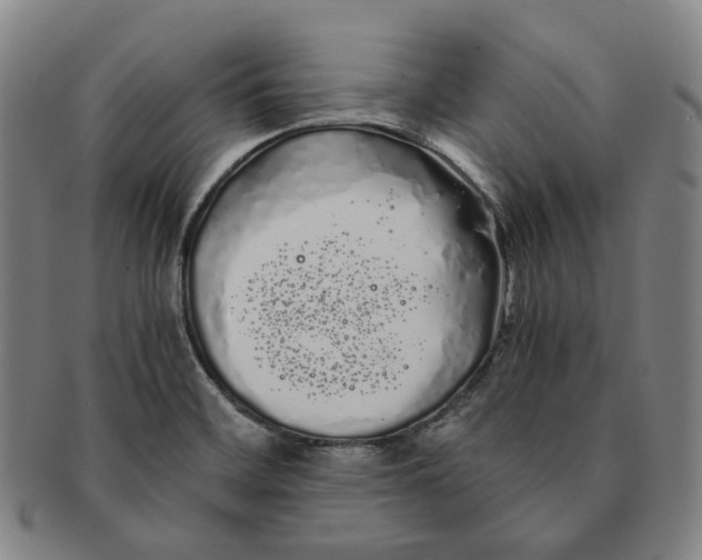 X0000091241468200708301527