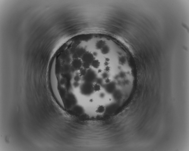X0000091241469200708301527
