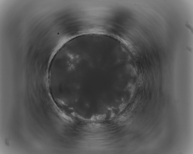 X0000091241470200708301527