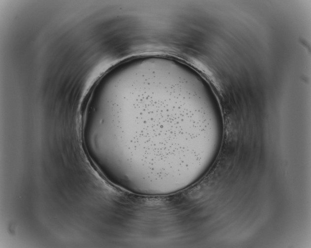 X0000091241472200708301527