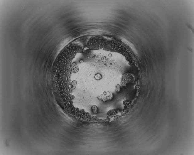 X0000091241473200708301527